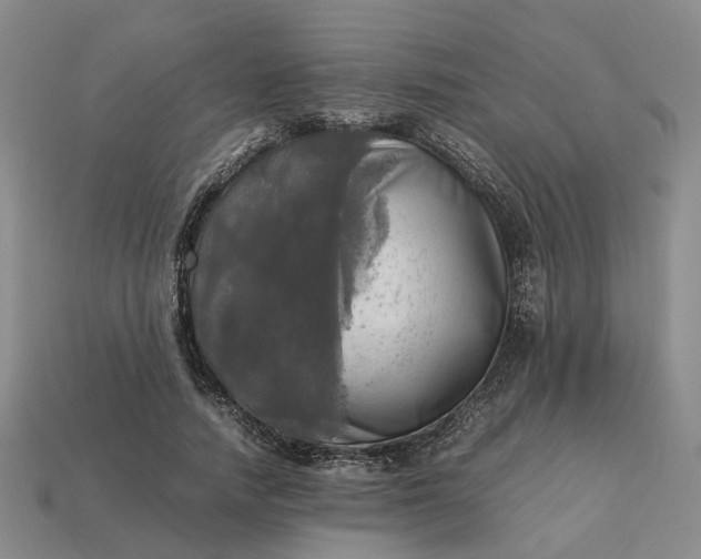 X0000112970738200909101653