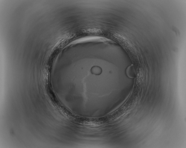 X0000112970739200909101653