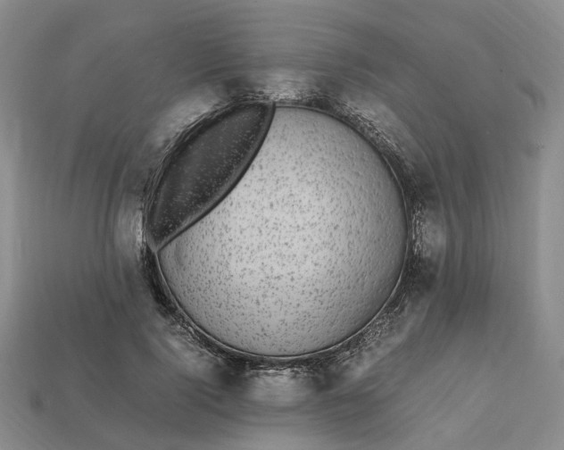 X0000112970740200909101653