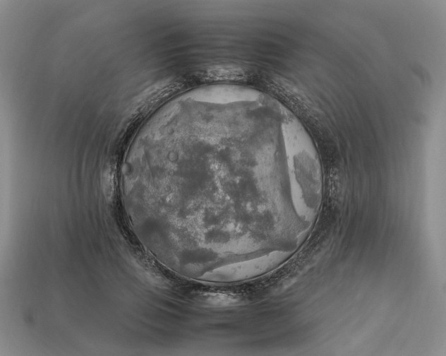 X0000112970741200909101653