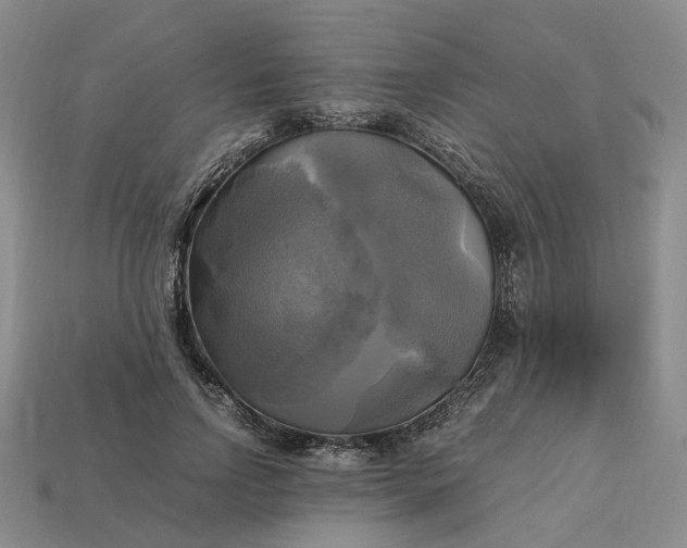 X0000112970742200909101653