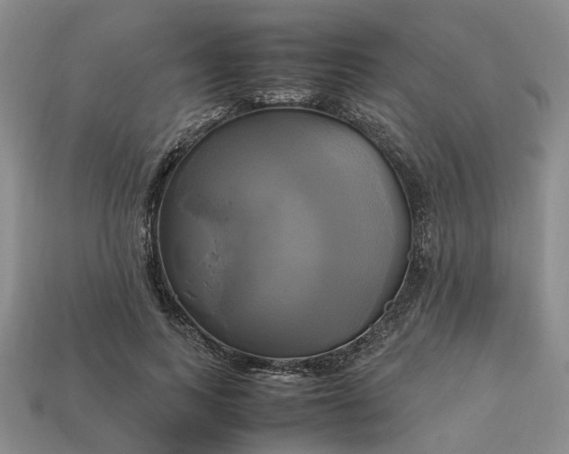 X0000112970743200909101653