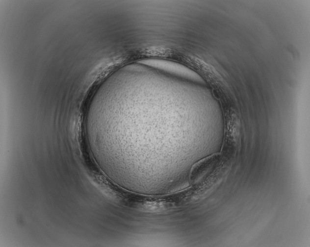 X0000112970744200909101653