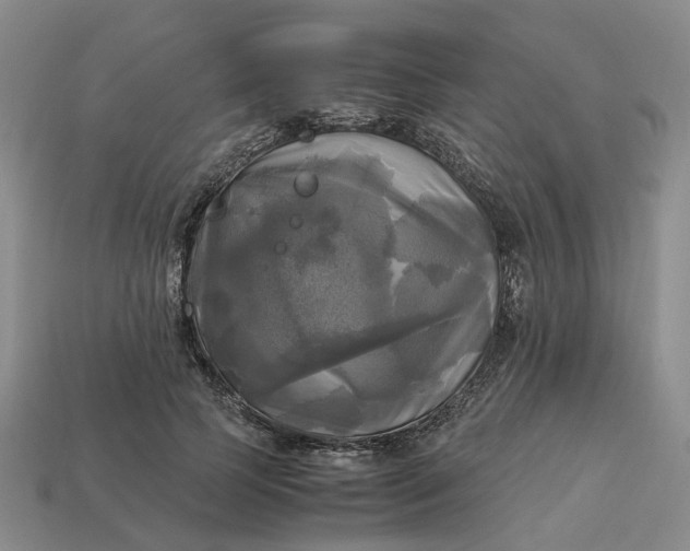 X0000112970745200909101653