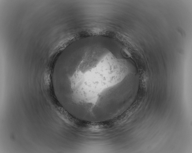 X0000112970746200909101653