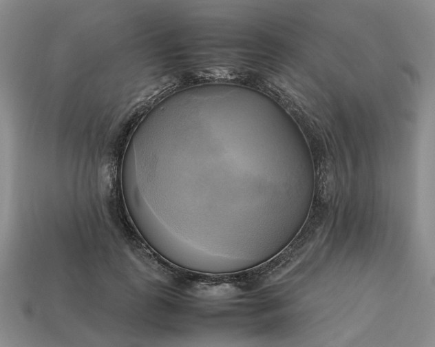 X0000112970747200909101653