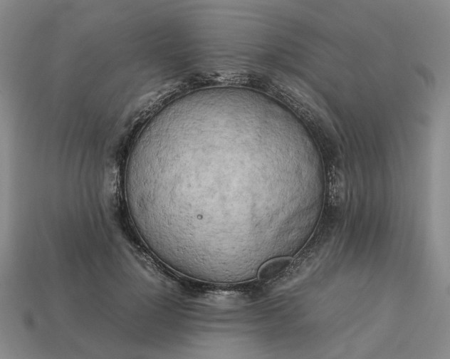 X0000112970748200909101653