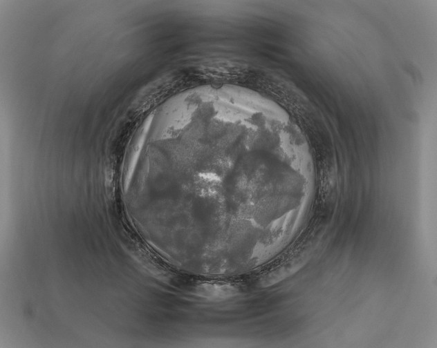 X0000112970749200909101653