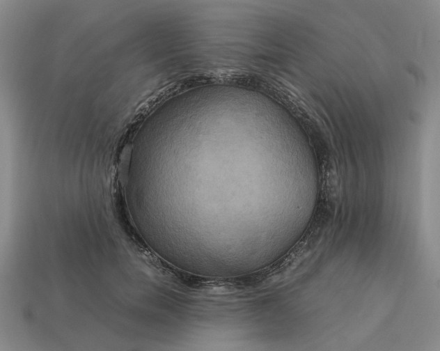 X0000112970750200909101653