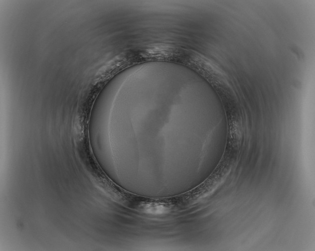 X0000112970751200909101653