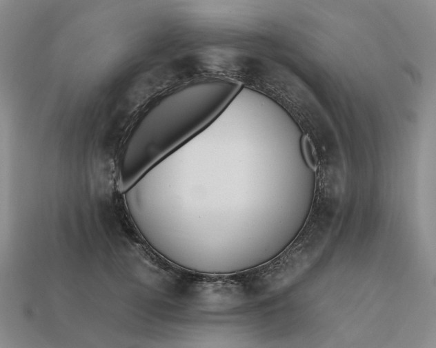 X0000112970752200909101653