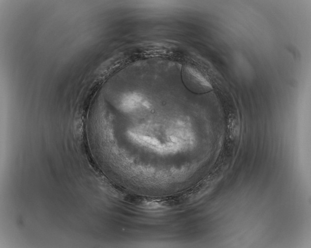 X0000112970753200909101653