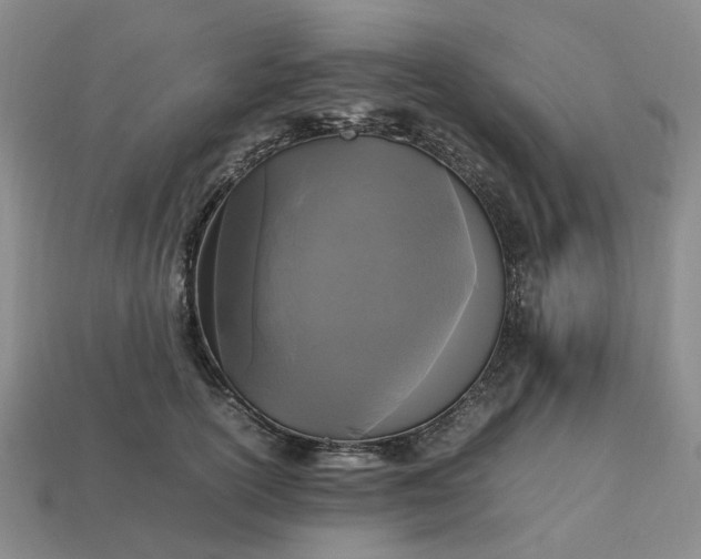 X0000112970754200909101653