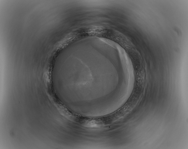 X0000112970755200909101653