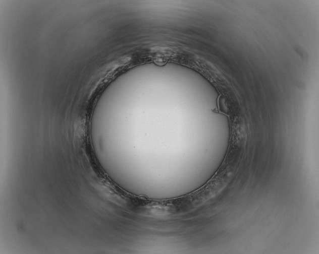 X0000112970756200909101653