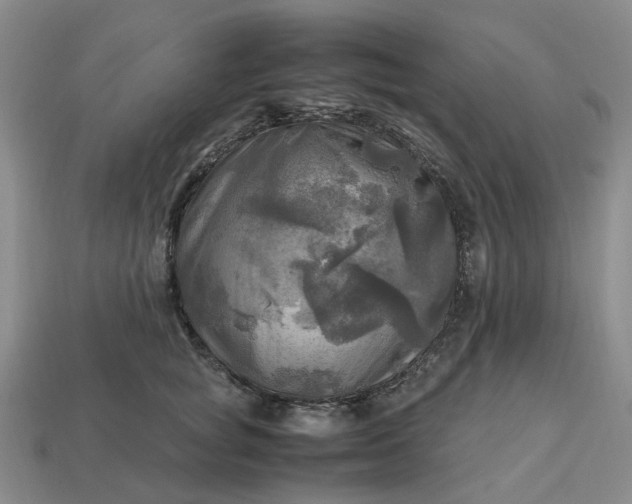 X0000112970757200909101653