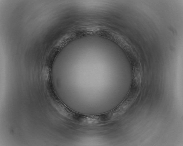 X0000112970758200909101653