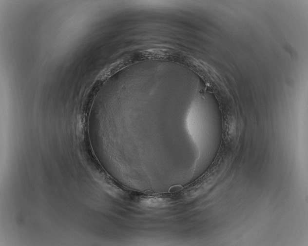 X0000112970759200909101653