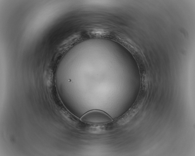 X0000112970760200909101653