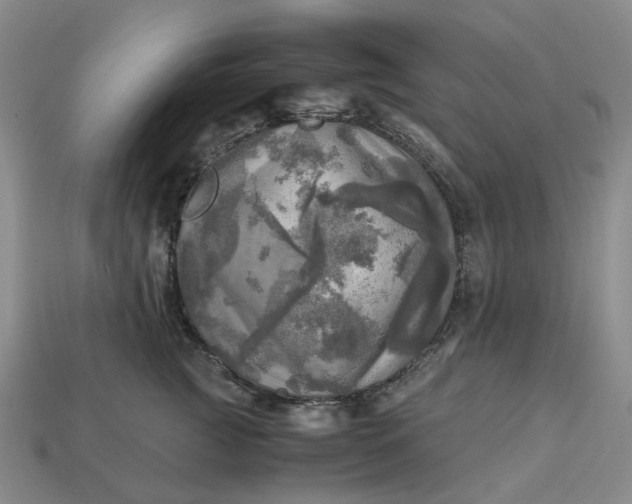 X0000112970761200909101653