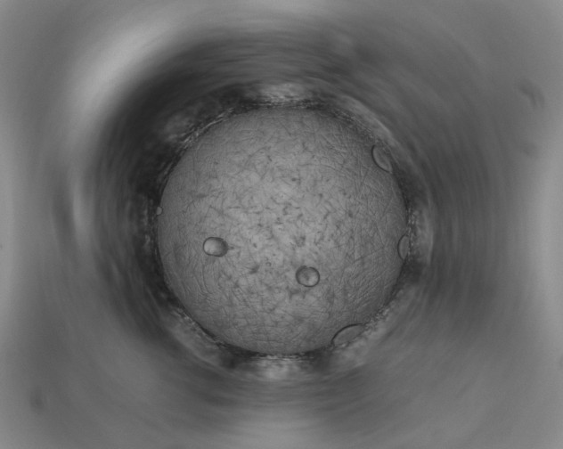 X0000112970762200909101653