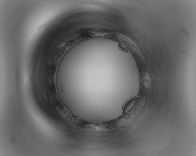 X0000112970763200909101653