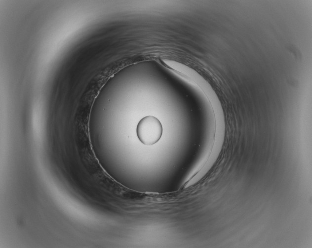 X0000112970764200909101653