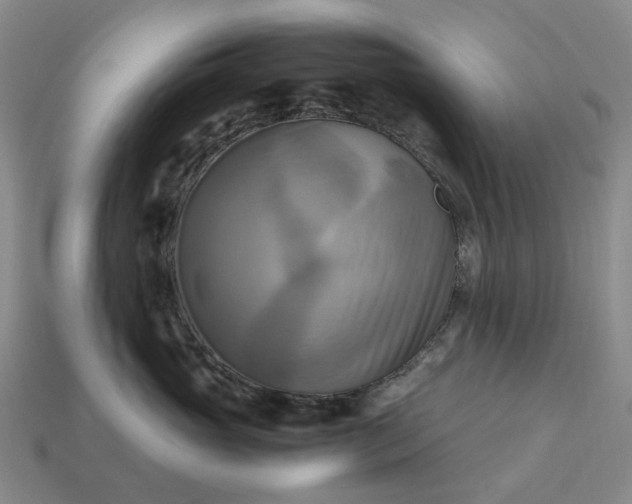 X0000112970765200909101653