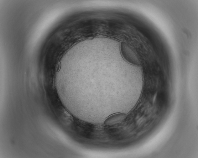 X0000112970766200909101653