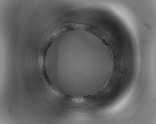 X0000112970767200909101653