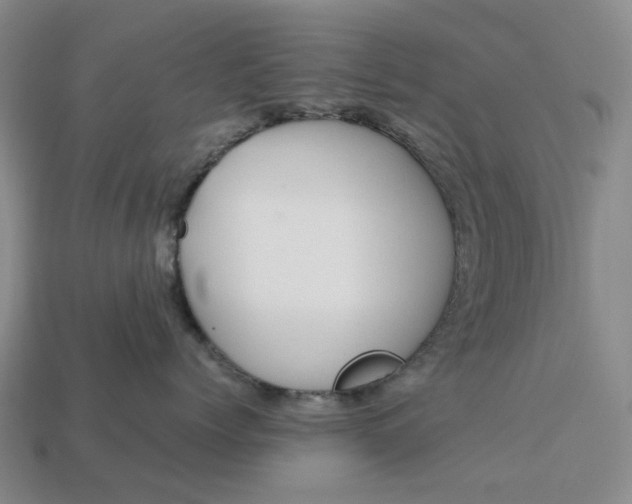 X0000112970768200909101653