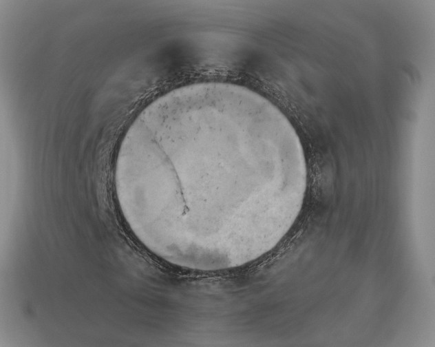 X0000112970769200909101652