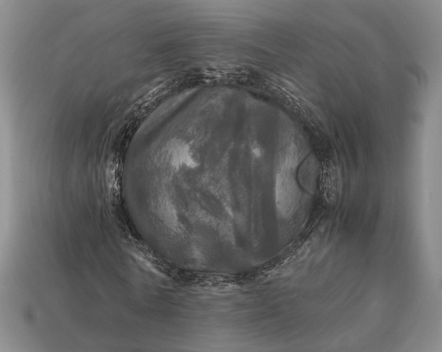 X0000112970770200909101652