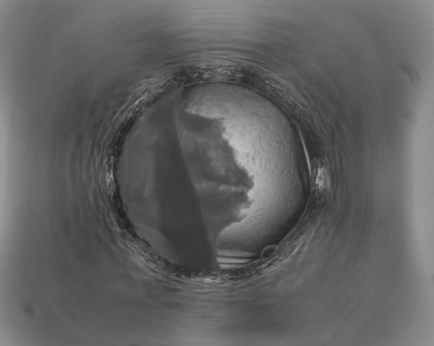 X0000112970771200909101652