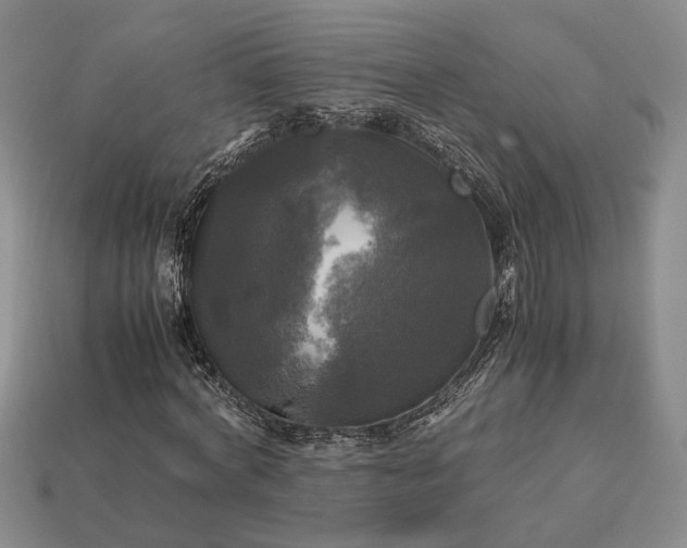 X0000112970772200909101652