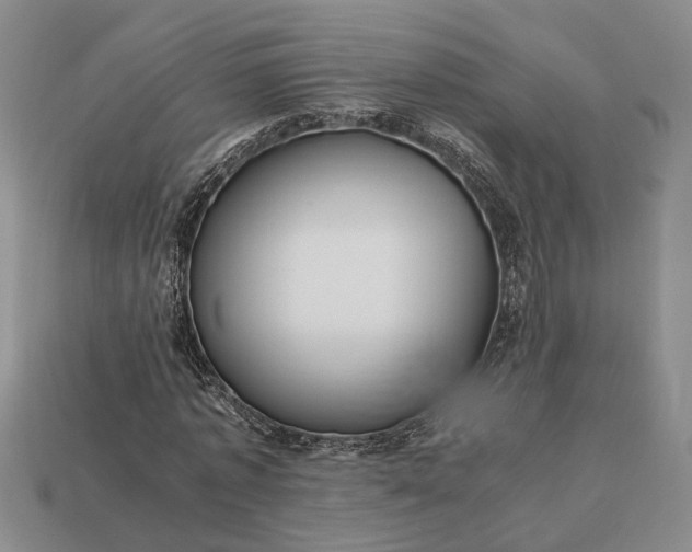 X0000112970773200909101652