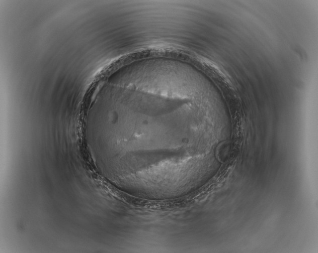 X0000112970776200909101652