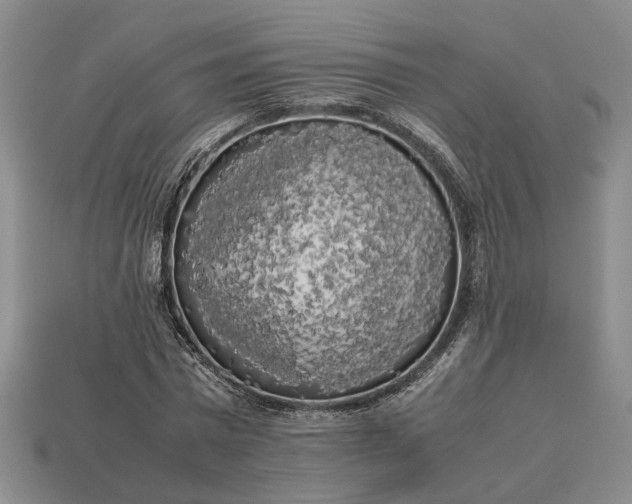 X0000112970777200909101652