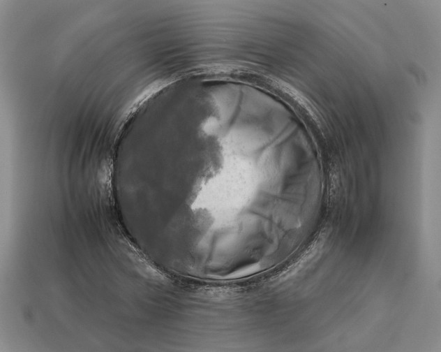 X0000112970778200909101652