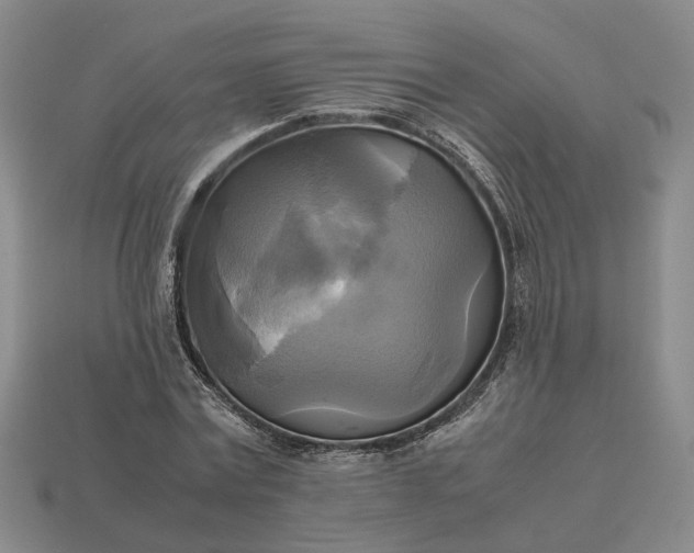 X0000112970779200909101652