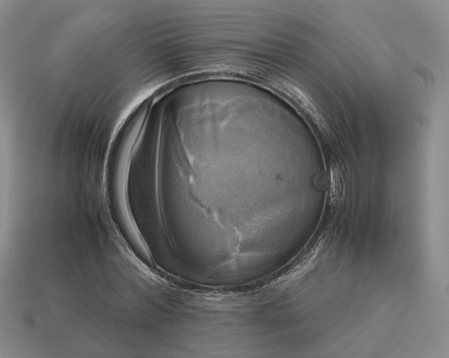 X0000112970780200909101652