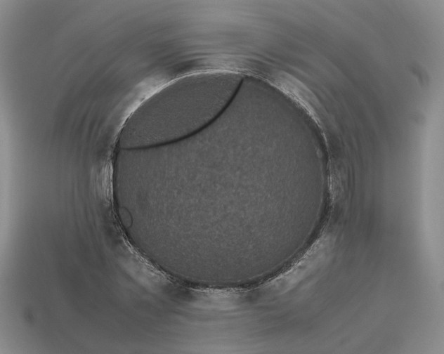 X0000112970781200909101652