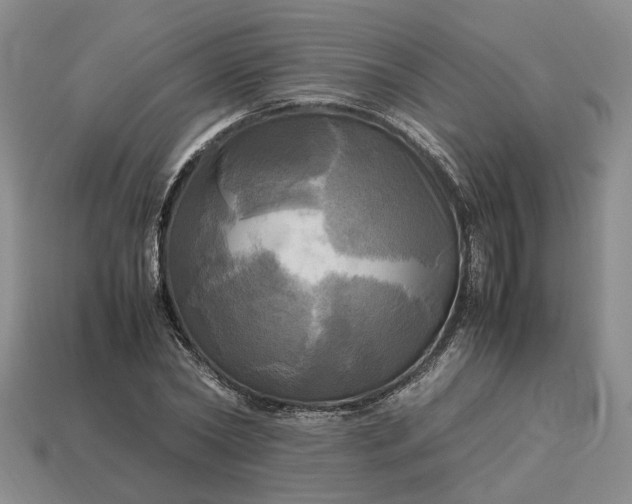 X0000112970782200909101652