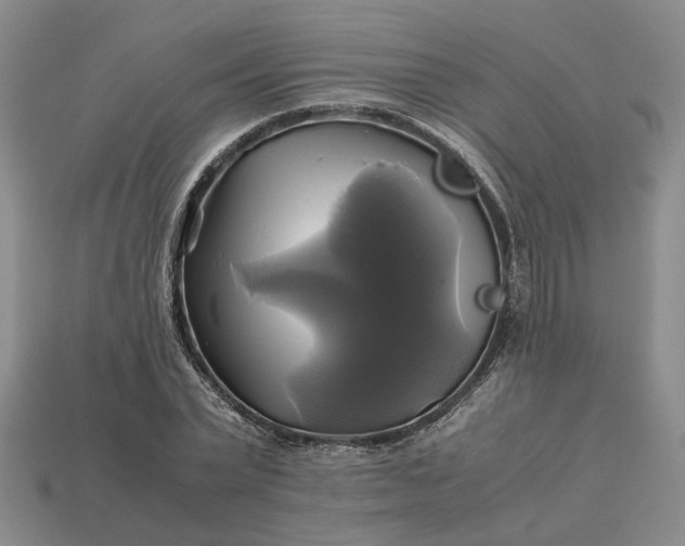 X0000112970783200909101652