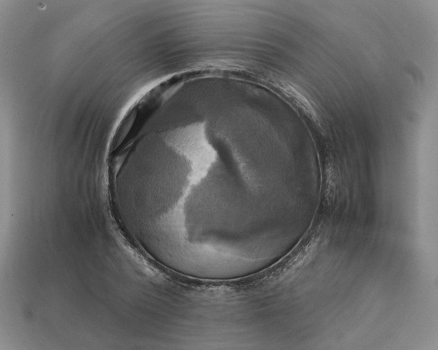 X0000112970784200909101652