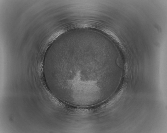 X0000112970785200909101652