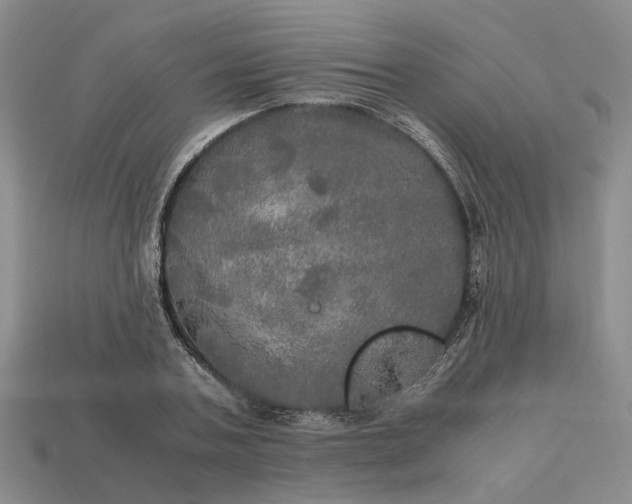 X0000112970787200909101652