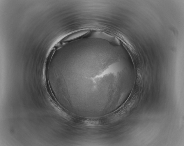 X0000112970788200909101652