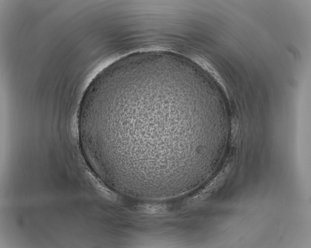 X0000112970789200909101652