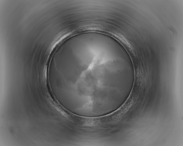 X0000112970790200909101652